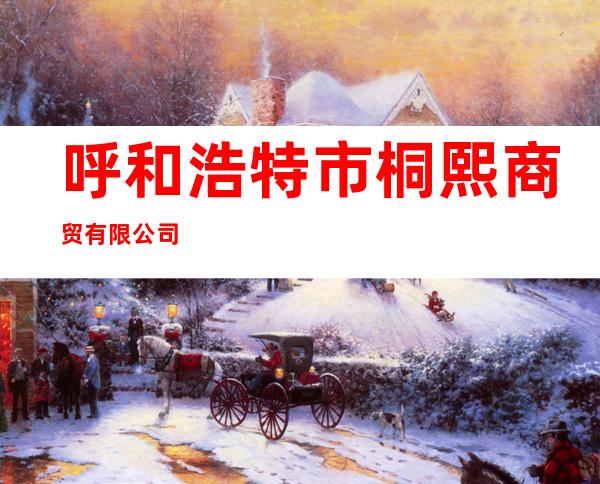 呼和浩特市桐熙商贸有限公司