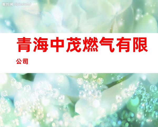 青海中茂燃气有限公司